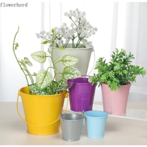 Creative Succulent Potted Tinplate Wedding Supplies Candy-colored Tin Bucket Mini Iron Bucket Wholesale Garden Pots Plant Pot