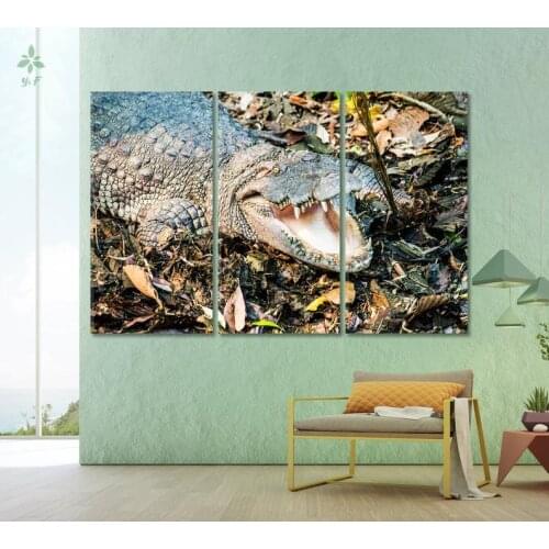Crocodile Canvas Print Reptile Wall Art Decor Animal Aquatic World Indoor Decoration
