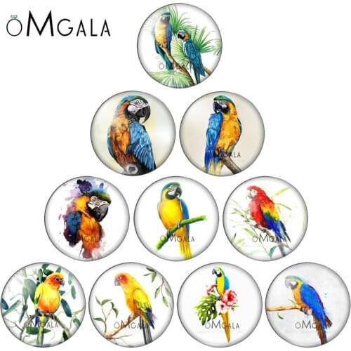 New 12mm/14mm/16mm/18mm/20mm/25mm Cartoon Animal Parrot Bird Round Photo Glass Cabochon Demo Flat Back Making Findings