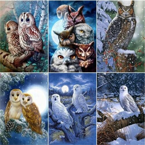 AZQSD DIY Oil Painting By Numbers Owl Decor For Home Acrylic Paint Unframe Pictures By Numbers Animal Handpainted Gift