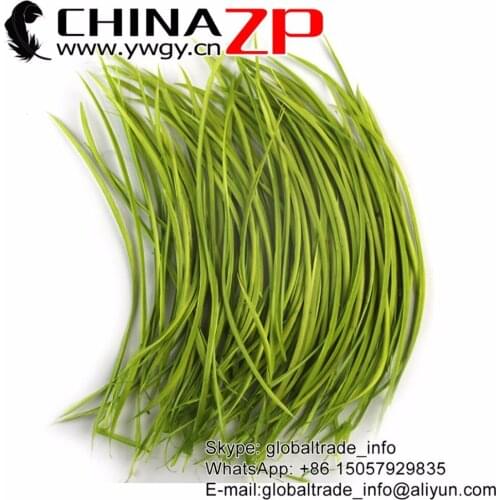 CHINAZP Goose Feather 20~25cm(8 to 10 inch) Smooth Retails Package Green Goose Biots Feather Fruit Carnival Party Costumes