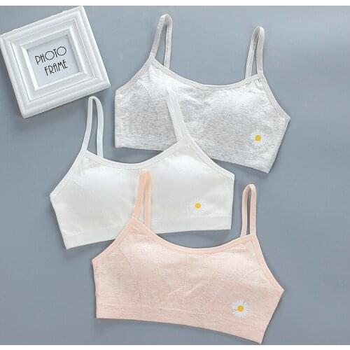 Children Hipster Girl Bra 9-18 Years Student Breast Care Cotton Bra Teenage Girl Underwear Summer Vest For Girls