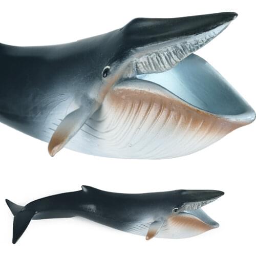 Simulation Marine Animal Whale Model Childrens Cognitive Static Solid Plastic Toy New Blue Whale Shark Kids Collection Toy Gift
