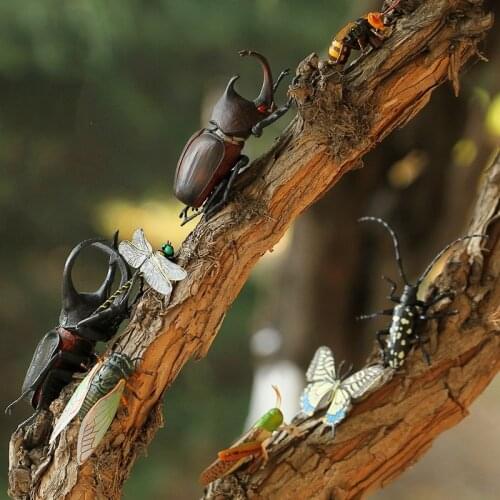 Simulation Insect animal model butterfly weevil dragonfly beetle bee locust cicada miniature ornaments home decoration Teaching