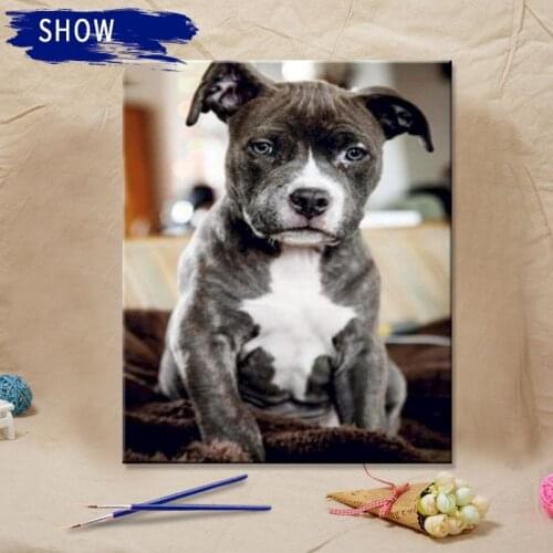 Painting By Numbers Animals Diy Oil Paint By Numbers Black Dog Picture Art Drawing Canvas Hand Painted Home Decor Unique Gifts