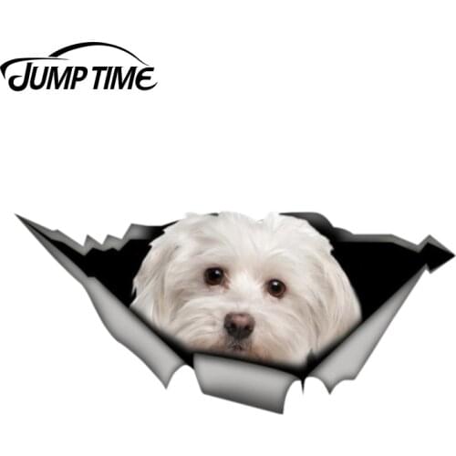Jump Time 13cm x 6cm maltese sticker 3D Pet Graphic Vinyl Decal Car Window Laptop Bumper Animal Car Stickers