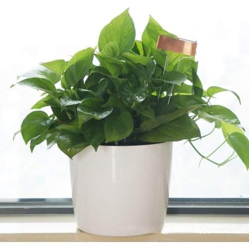 10 Inch High Copper Plate Metal Plaques Planting Gardening Accessories Labels Stake Tags Reusable Markers Supplies