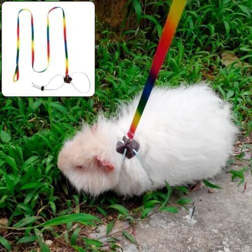 Pet Leash Small Pets Harness Hamster Rabbit Chinchilla Squirrel Outdoor Adjustable Chest Lead Rope Colorful Dec-26A