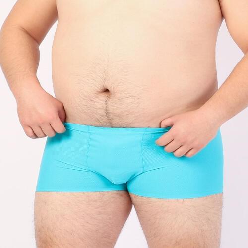 2 PCS/LOT New Arrival Male Seamless Mesh Underwear Mens Net Boxers Breathable Underpants Pants Shorts 6 Colors L XL XXL XXXL