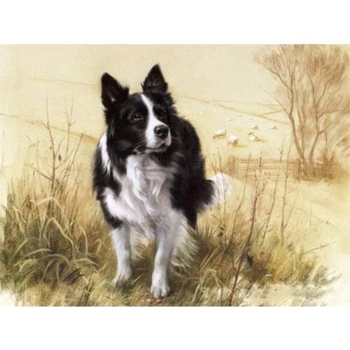 Animal Border Collie DIY Cross Stitch 11CT Embroidery Kits Needlework Craft Set Printed Canvas Cotton Thread Home Room