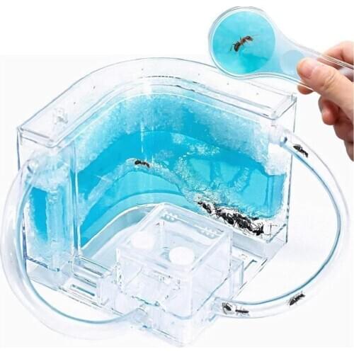 Habitat Educational & Learning Science Kit Toy for Kids & Adults - Behavior of Ants Within The 3D Maze of Translucent Gel
