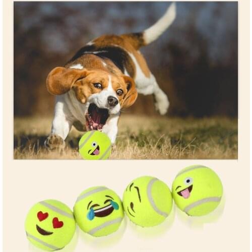 Dog Tennis Ball Interactive or Training Toy Cute Embroidery Dog Chewing Toy Brush Tooth Pet Caring Products