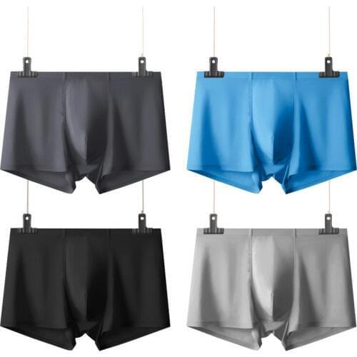 4PCS/Lots Men Boxer Shorts Ultra-thin Ice Silk Transparent Underwear Seamless Bugle Pouch Trunk Cueca masculina Slip Gay Panties