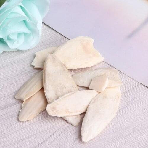 1 Bag Cuttlebone Cuttlefish Sepia Bone Cuttle Fish Bird Food Calcium Pickstone Pet Supplies