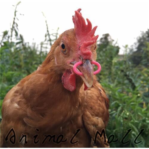 100 pcs 2015 explosion models Chicken mouth buckle No bolts Goggle Pheasant glasses Farm equipment Free wholesale