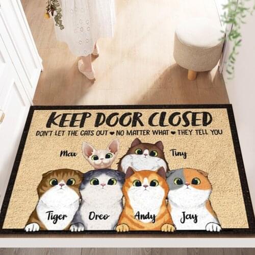 Door Mat Rug Front Door Welcome Mat For Indoor Porch Entrance Bath Living Room Floor Stair Kitchen Hallway Non-slip Cat Pet