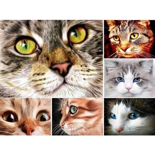 5D DIY Diamond Painting Cat Face Cross Stitch Kit Full Drill Square Embroidery Mosaic Animal Picture of Rhinestones Decor Gift