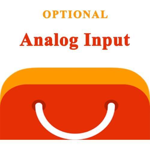 Analog input (optional)