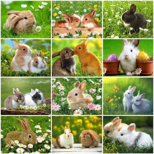 5D Diy Diamond Painting Rabbit Craft Kit Full Square Round Diamond Embroidery Bunny Animal Mosaic Art Home Decor Gif
