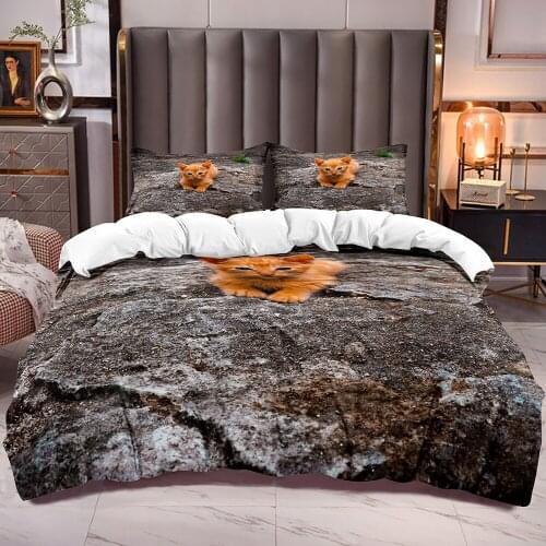 3D Cat Pattern Comforter Cover with Zipper Closure Corner Ties Kids Teens Bedding Duvet Cover with Little Orange Cat Print