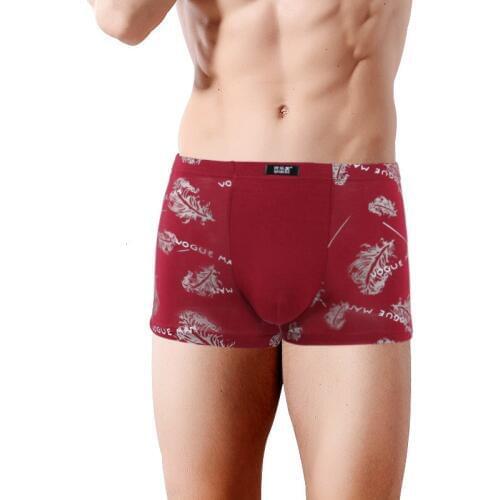 Modal Mens Underwear Shorts U Convex Design Sexy Youth Boxer Shorts New Brand Male Panties Breathable Boxers Cotton Men Underwe