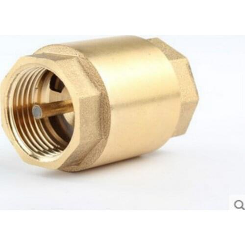 1/2" BSPP One-way Spring Vertical Check Valve Swing Type