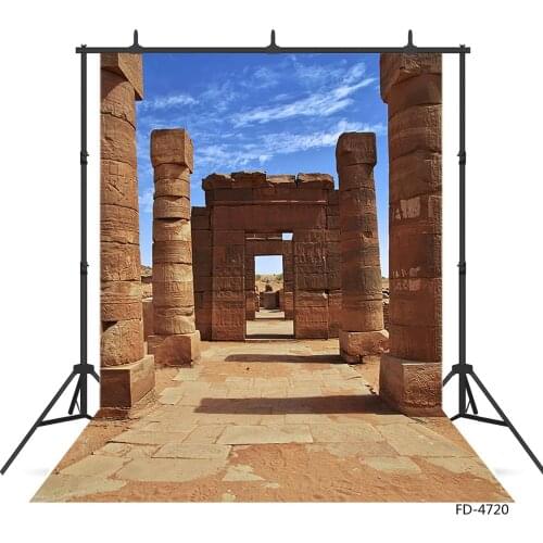 Relics Vintage Building Photo Backdrop Vinyl Cloth Backgrounds for Children Baby Portrait Scenery Photoshoot Photography Props