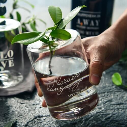 Nordic Glass Storage Jar Bottle Scandinavian Elegant Desk Minimalist Storage Bottle Organizer Hydroponic Plant Vase Home Decor