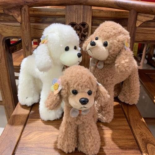 Plush Toy Poodle Doll Cute Doll Creative Gifts Simulation Animal Dpgs Decoration Birthday Gift