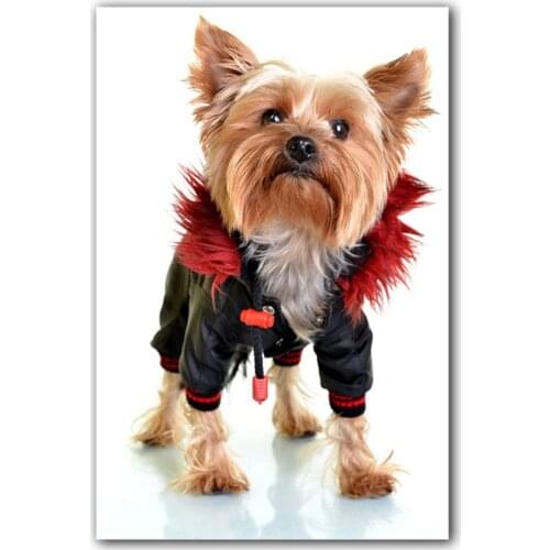 5d puzzles diamond embroidery Yorkshire Terrier 3d picture daimond painting dog cross stitch mosaic gift full square round drill