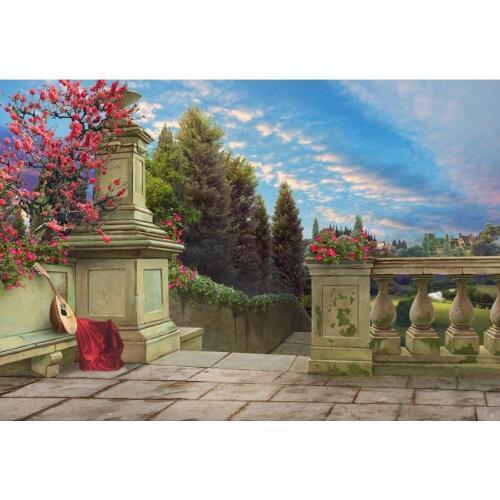 Fairy Tale Street Photography Background Blue Sky Shabby Brick Ladder Stone Fence With Flowers Backdrop For Photo Booth Props