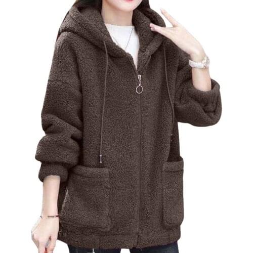 Brown Cashmere Sweatshirt Women New Autumn Winter Hooded Loose Korean Zipper Thicken Zip-up Pocket Mother Coat