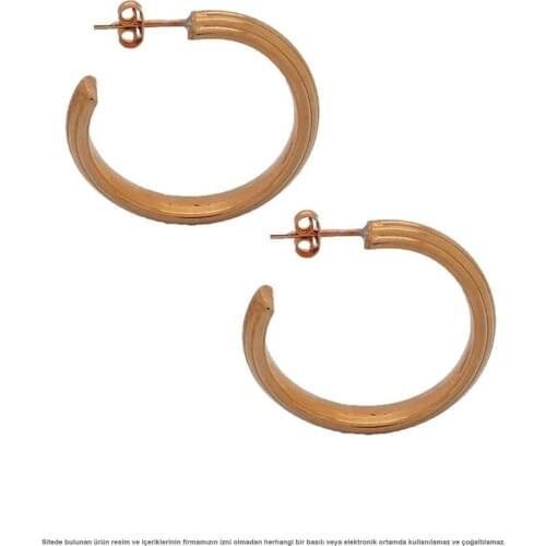 Flat Rose Ring Silver Earrings