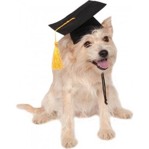 Dog Graduation Cap Student Tassel Academic Cap Puppy Doctor Hat Customized Caps For Dogs Cats Puppy Kitten Hats Pet Accessories