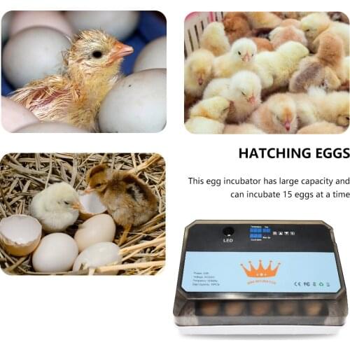 12 Egg Incubators, Automatic Incubators, Egg Incubators. For Animal Hatching, Chicken, Duck, Goose, Quail