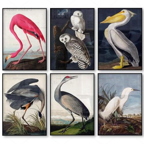 Vintage Bird Canvas Print Blue Heron White Egret Owl Pelicans Pictures Animals Canvas Painting Wall Art Posters for Room Decor