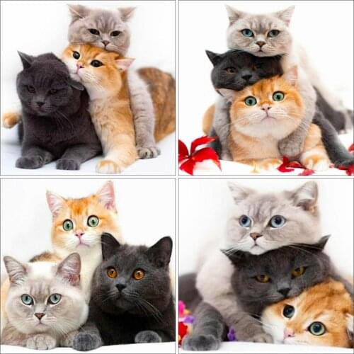 Huacan Diamond Painting Cat Home Art Full Square Drill Diamond Embroidery Mosaic Animal Cross Stitch Wall Decoration