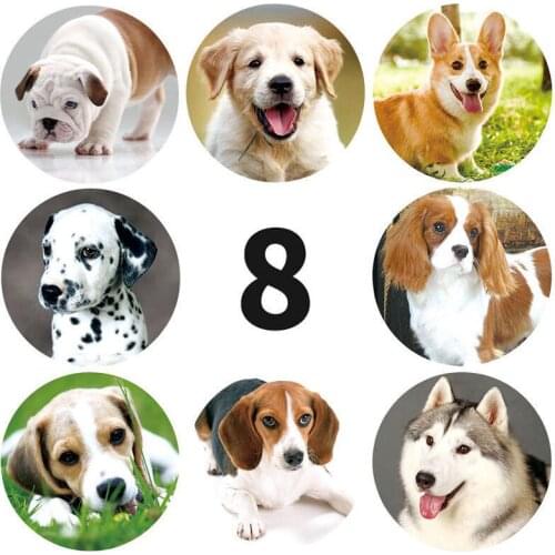 Stickers 500 pcs/roll Teacher Reward Sticker Fun Motivation Dog Sticker for School Teacher Student Stationery Stickers Kids