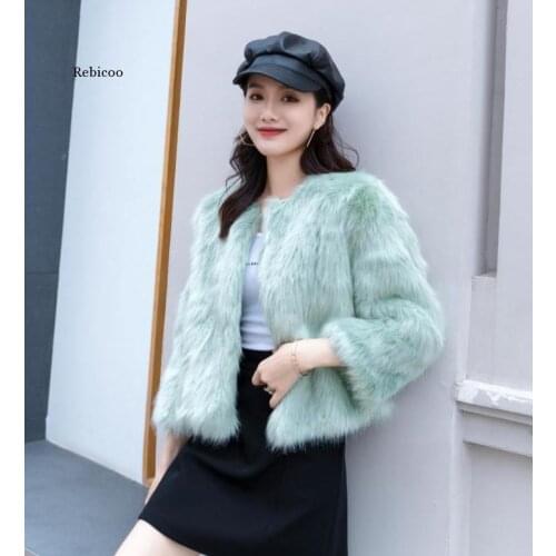 Autumn and Winter New Fashion Imitation Fox Fur Short Loose Korean Style Plush Fur New Women Fur Coat