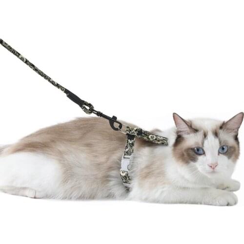 Ошейники для кошек Rhinocats China At AliExpress