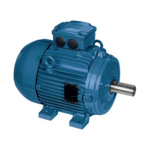 W21 Series cast iron IE3 7.5KW 2P 132S frame 380V 50HZ IP55 Three-Phase induction ac Motor
