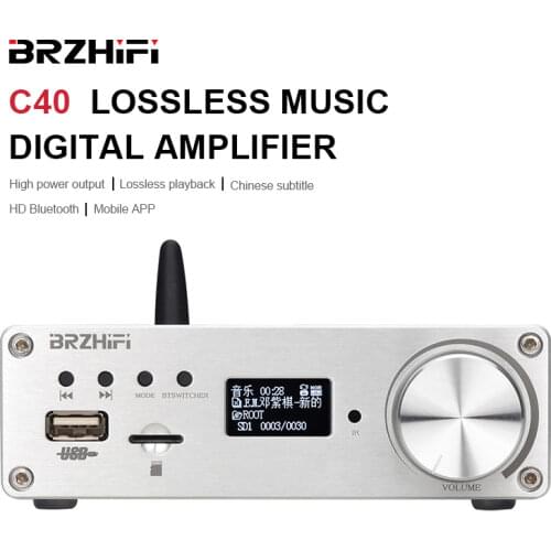 BRZHIFI C40 APP Remote Control Bluetooth-compatible 5.0 Lossless Digital Power Amplifier USB/TF Card Audio Car Amp Home HiFi
