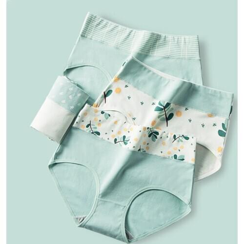 Plus Size 4XL High Waist Women Panties Comfort Cotton Cute Print Ladies Underwear Seamless Briefs Sexy Breathable Girls Lingerie