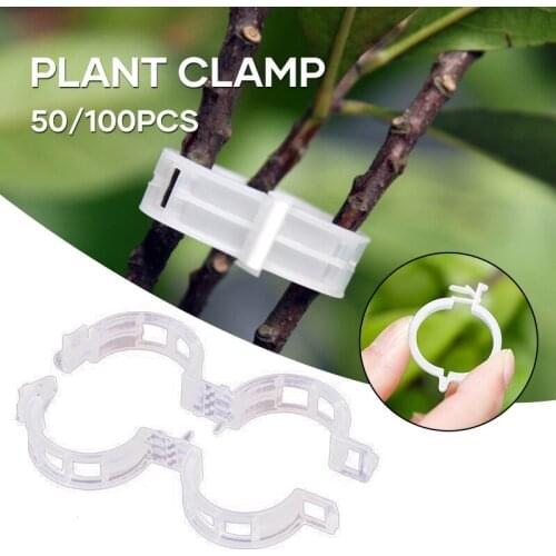 50/100pcs Garden Tools Fastening Plant Clips Home Vines Support Vegetable Holder for Tomatoes Cucumbers Clamp 23mm can C