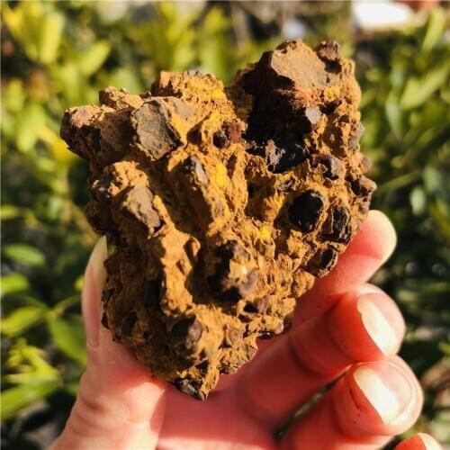 Natural Dinosaur dejecta fossil rough feces fossil specimen