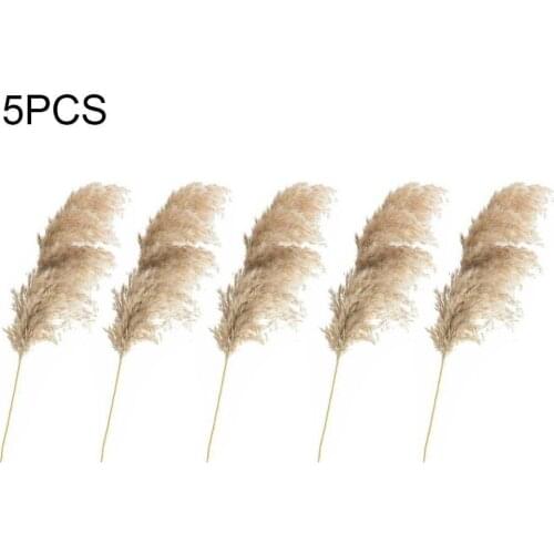 5PCS Real Pampas Reed Grass Wedding Flowers Bunch Natural Dried Pampas Grass Flower Beautiful Christmas Home Wedding Decoration