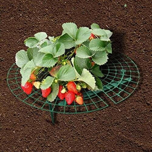 Plastic Plant Cage Planting Rack Fruit Support Plant Climbing Vine Props Flower Pillar Gardening Bracket Gardening Stand