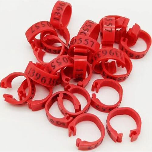 100pcs 8mm 2019 design name phone number racing pigeon leg rings name phone bands