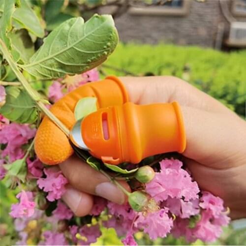 Farm Vegetable Fruit Picker Pickle Pepper Pickle Tip Picker Iron Nail Pick Grape Picker For Garden Orchard And Vegetable Patch