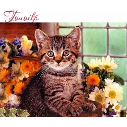 Bricolage broderie avec diamants peinture Animal chat fleur pleine carré/rond mosaïque photo de strass kits de point de croix